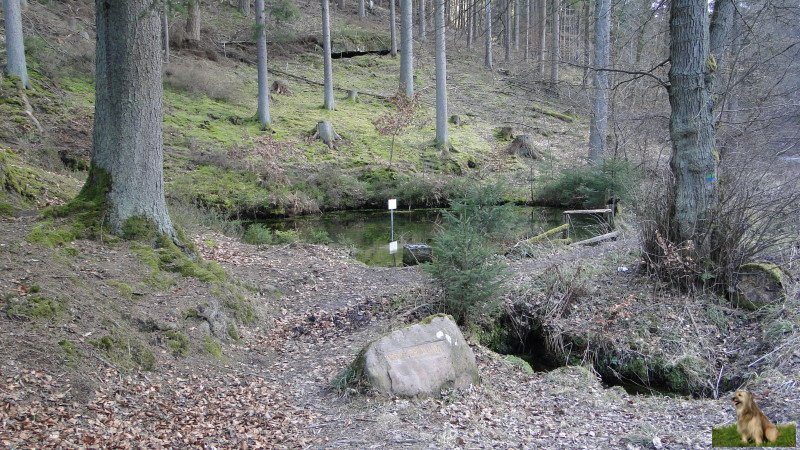 Ritterstein Nr. 099-05 Kohlbrunnen.JPG - Ritterstein Nr.99  Kohlbrunnen